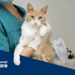 Pontos-chave do consenso sobre diagnóstico e manejo das infecções do trato urinário e da bacteriúria subclínica em cães e gatos
